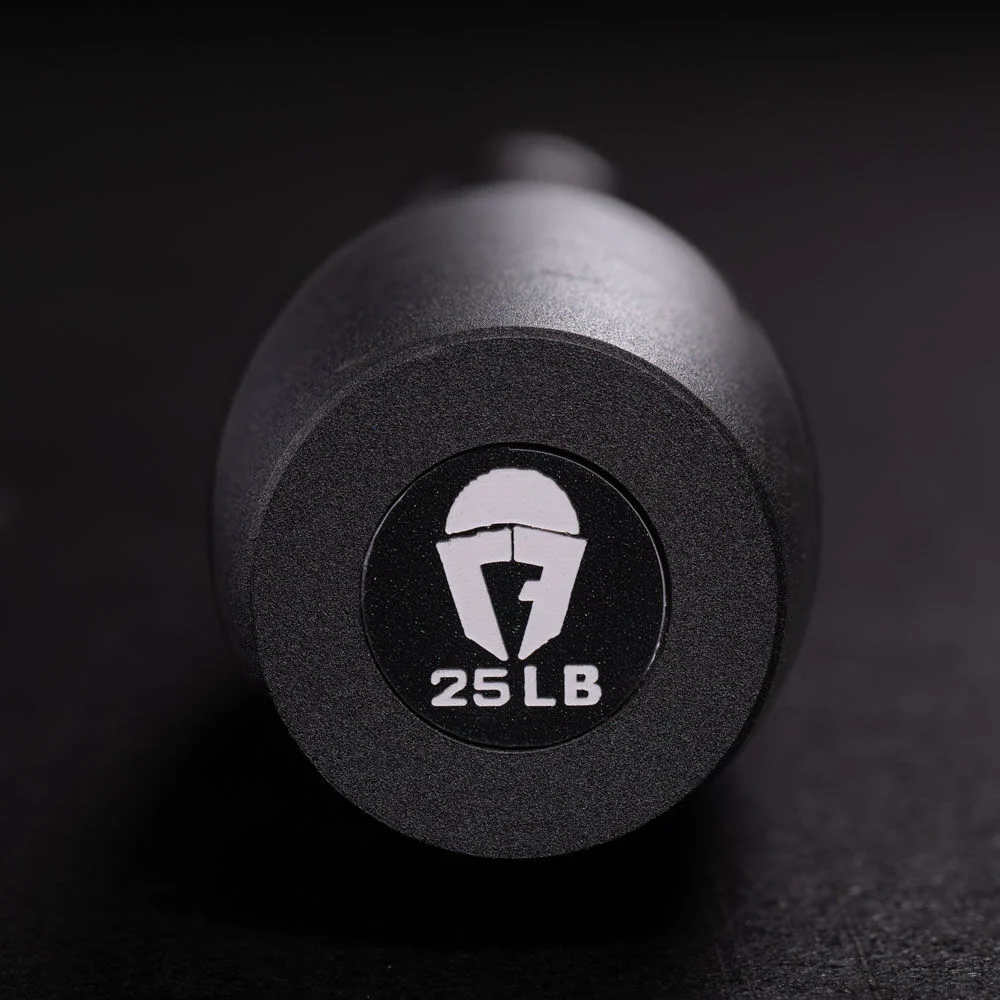 25 LB Steel Club - Image 2