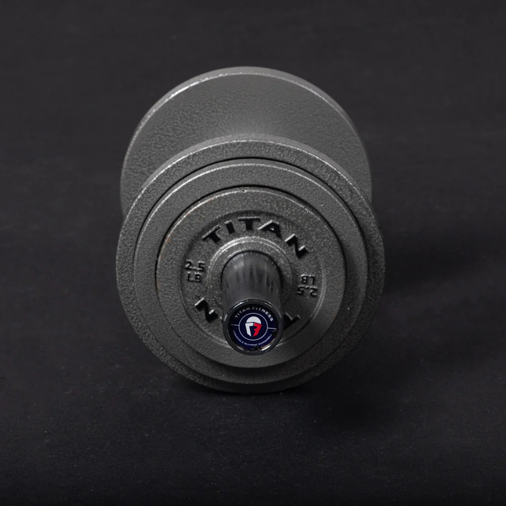 Loadable 20" Olympic Dumbbell Handles - Pair - Image 4